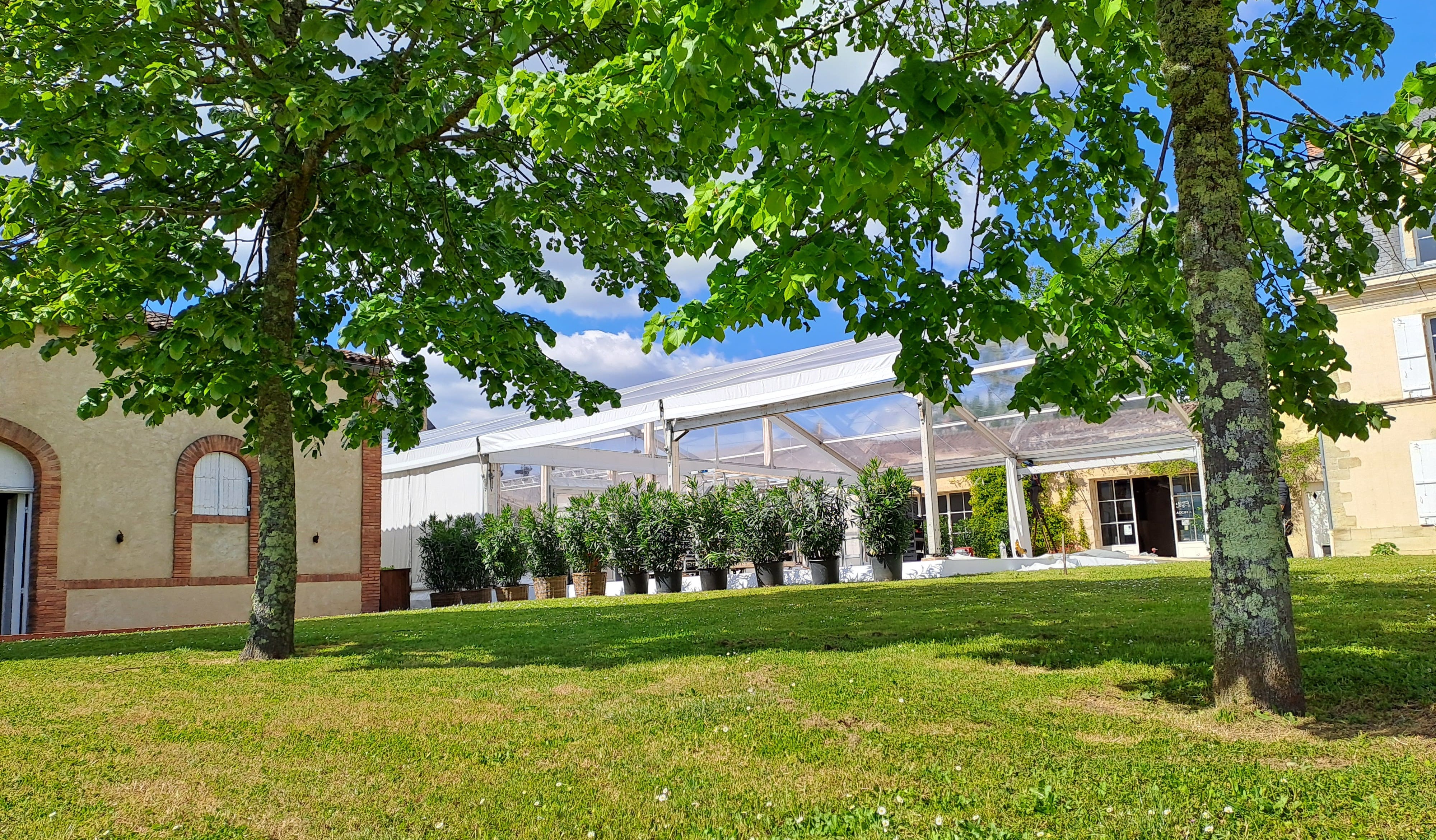 Structure vignoble