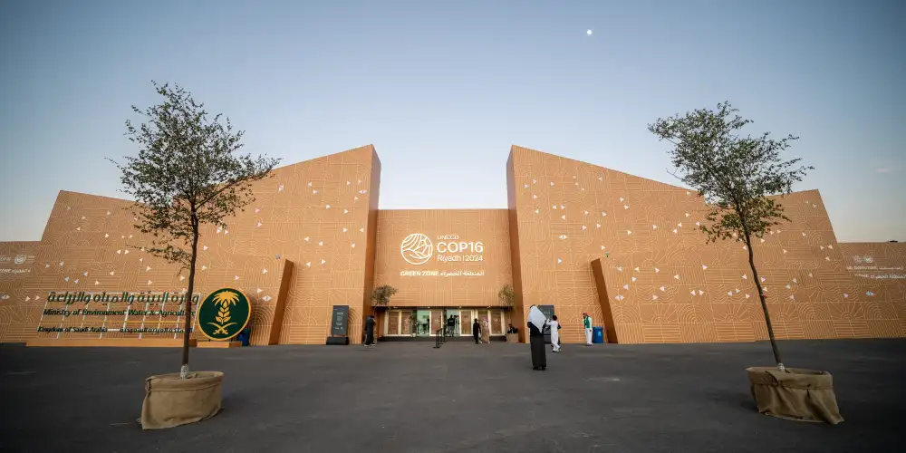 COP16 structures